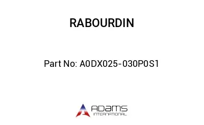 A0DX025-030P0S1