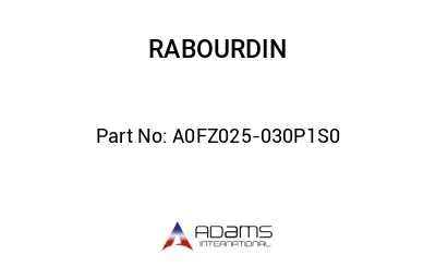 A0FZ025-030P1S0